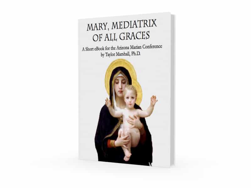 mary mediatrix ebook cover