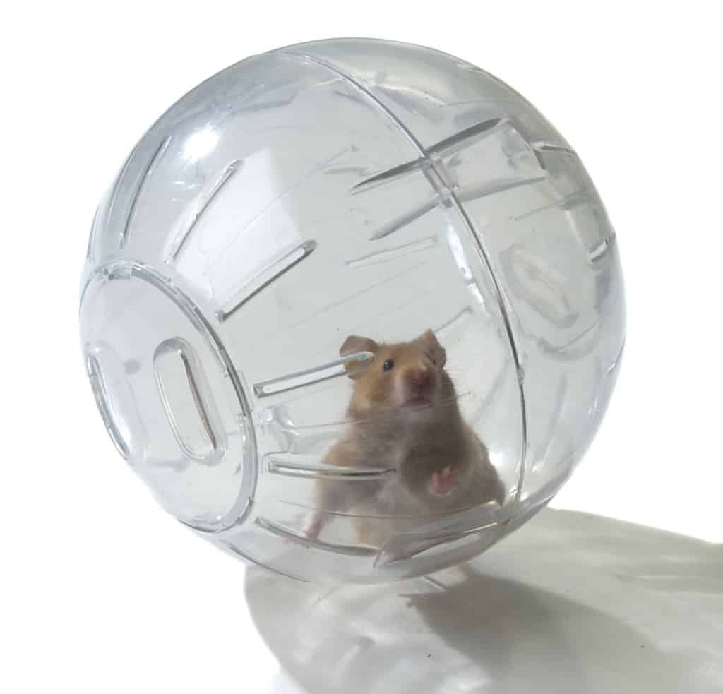 spiritual hamster ball