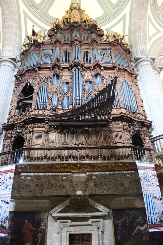 Photos of My Pilgrimage to Our Lady of Guadalupe! Taylor Marshall